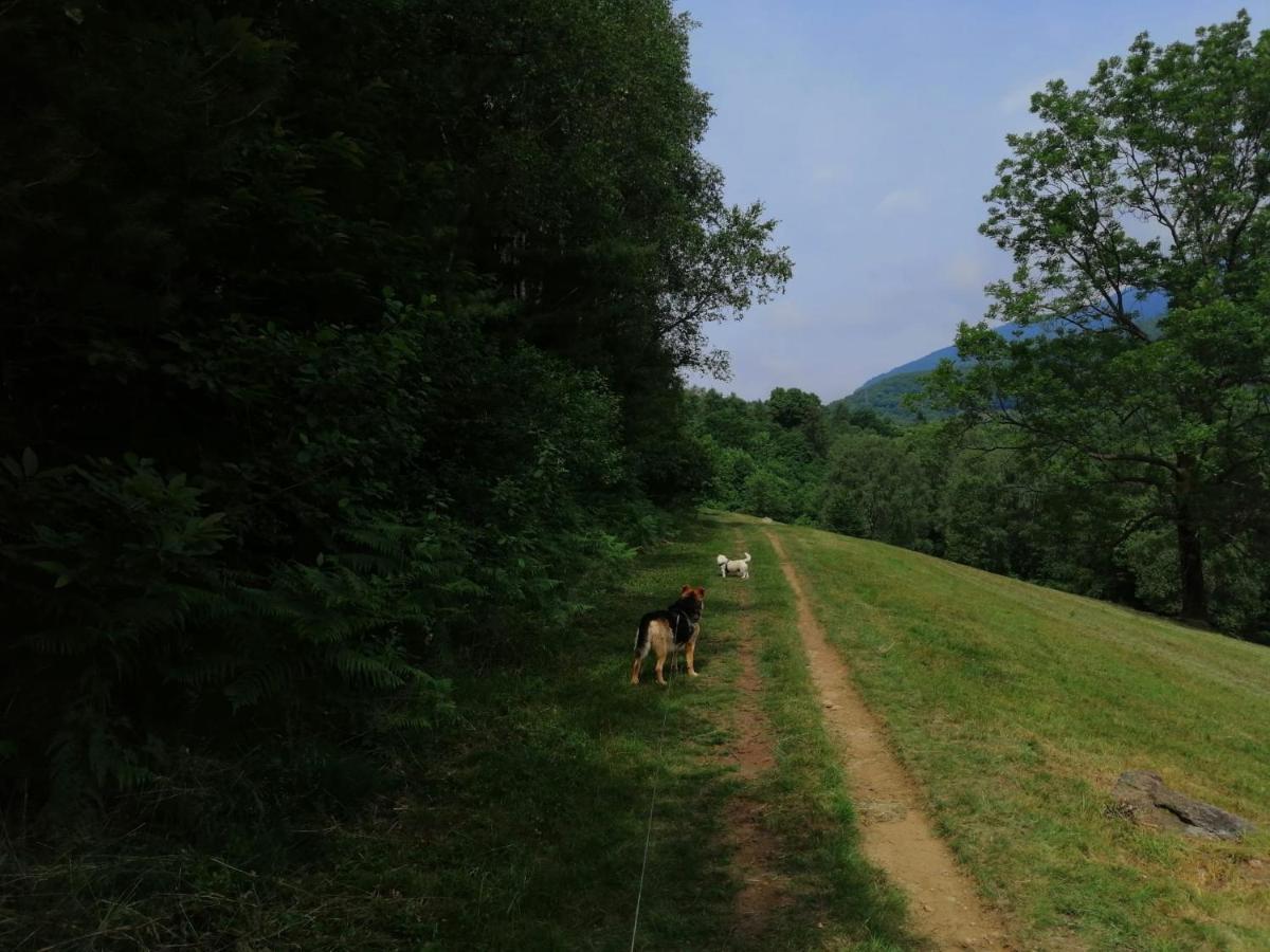 Beatamente B&B Olistico Torrazzo ภายนอก รูปภาพ