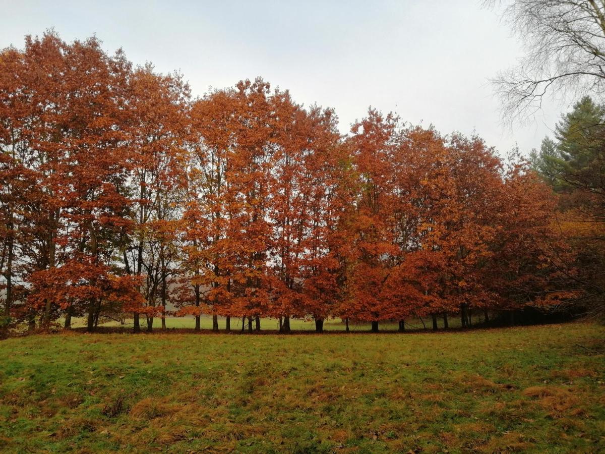 Beatamente B&B Olistico Torrazzo ภายนอก รูปภาพ